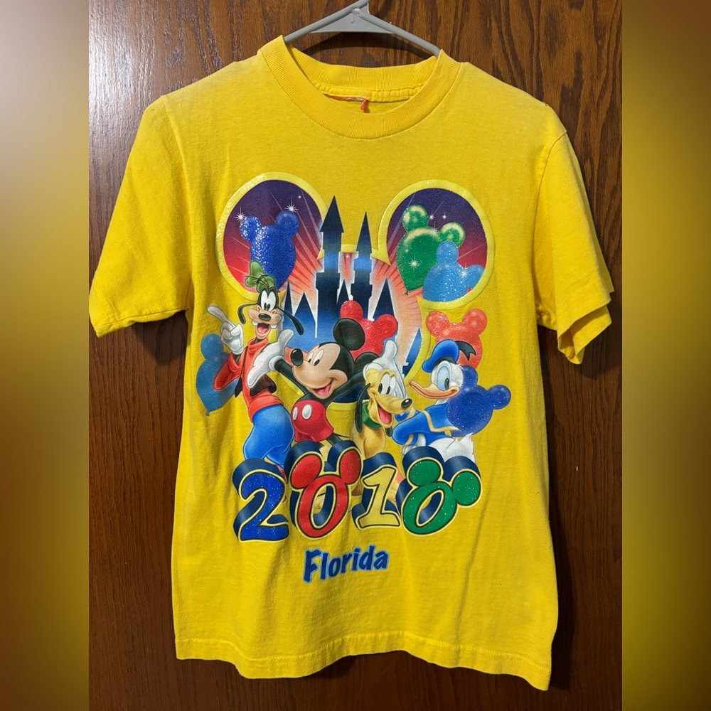 🔥Disney Florida 2010 Vintage T-Shirt Size S